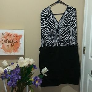 Zebra Printed Mini Dress